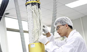 ����֧��