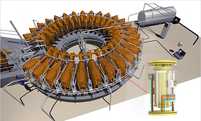 ��תʽ��ţ��